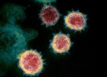 El coronavirus “chino”: un año después, las vacunas