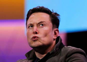 La neurociencia sigue conociendo mejor el cerebro que Elon Musk