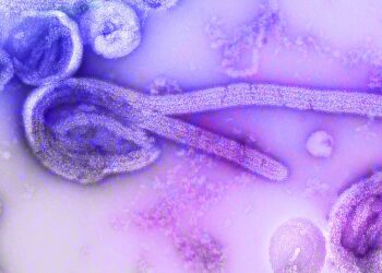 ¿Son los virus un desafío científico insuperable?