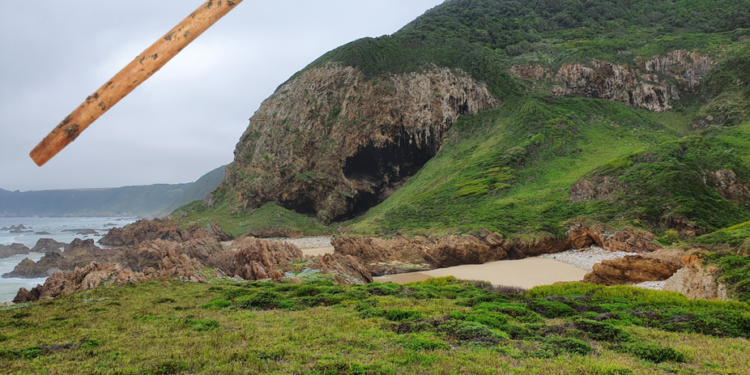 Lo que una punta de flecha encontrada en Sudáfrica revela sobre la inteligencia de nuestros antepasados