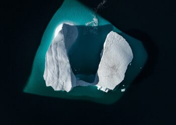 El desprendimiento de los mayores icebergs antárticos, una señal de alarma