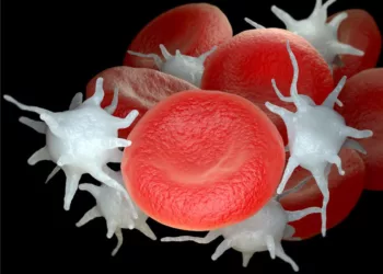 La vida secreta de las plaquetas