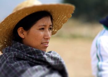 Nibö crea nueva sección dedicada a estudios de género