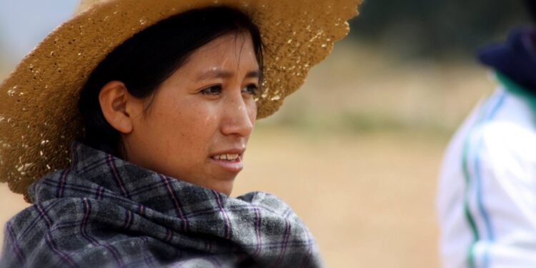 Nibö crea nueva sección dedicada a estudios de género