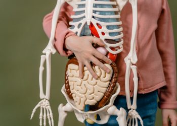 ¿Por qué el estómago no se digiere a sí mismo? Bueno, a veces, sí lo hace