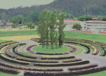 Jardín Cromovegetal. Por Pedro Rosales.