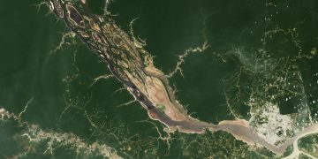 ¿Qué está ocurriendo con las sequías en el mundo? Consecuencias en los ecosistemas más conocidos