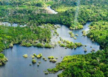 Mudanças Climáticas e os Desafios Enfrentados pela Amazônia